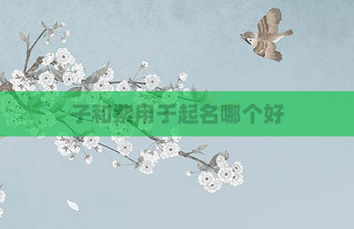 子和紫用于起名哪个好