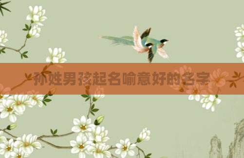 孙姓男孩起名喻意好的名字