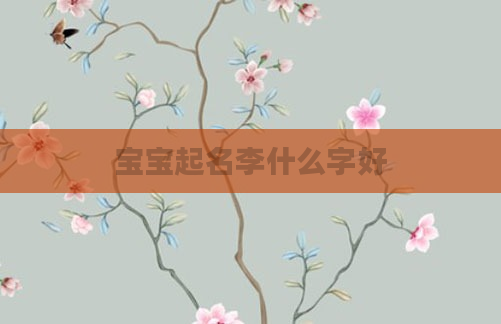 宝宝起名李什么字好