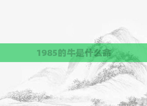 1985的牛是什么命