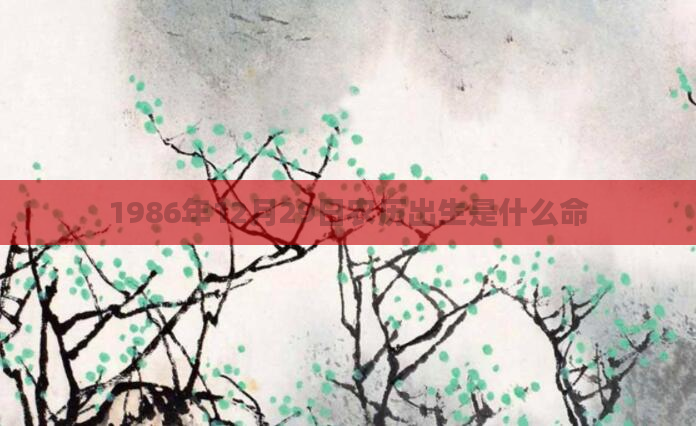 1986年12月29日农历出生是什么命