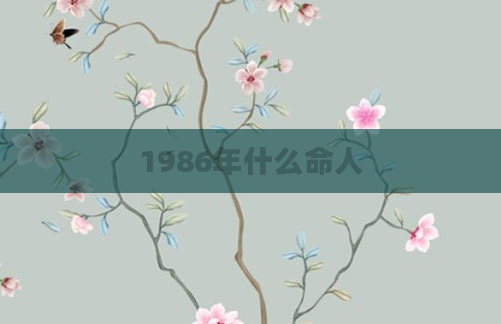 1986年什么命人