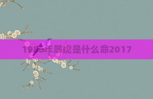 1986年属虎是什么命2017