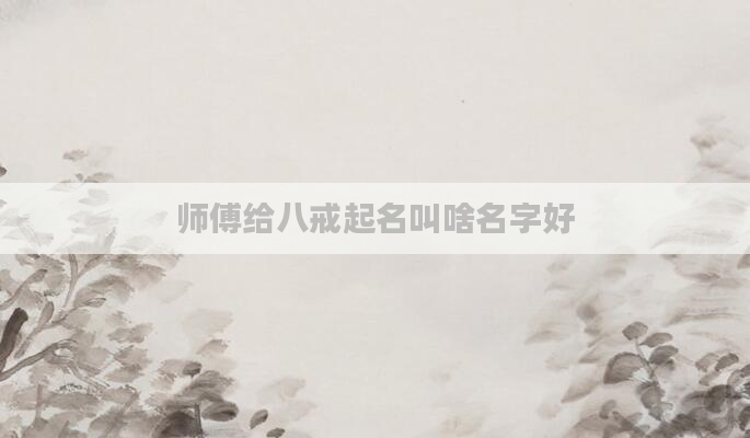 师傅给八戒起名叫啥名字好