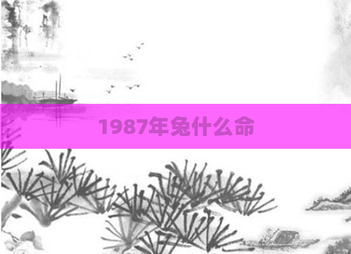 1987年兔什么命