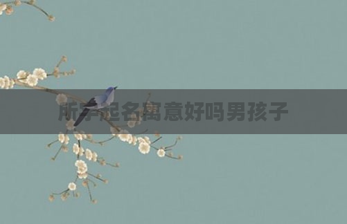 所字起名寓意好吗男孩子