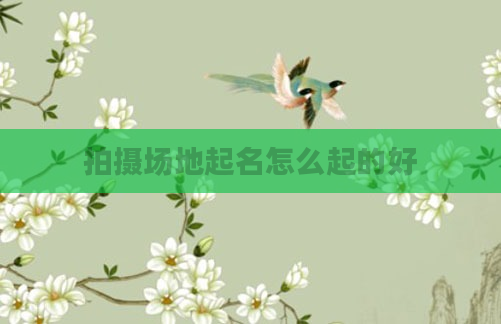 拍摄场地起名怎么起的好