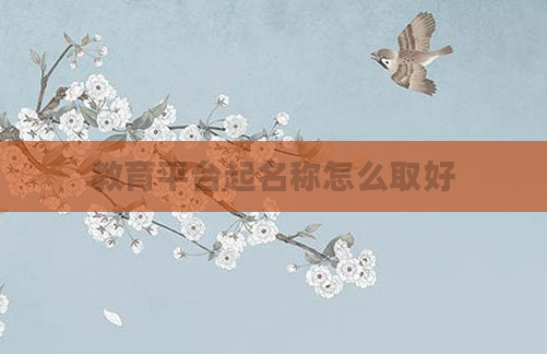 教育平台起名称怎么取好