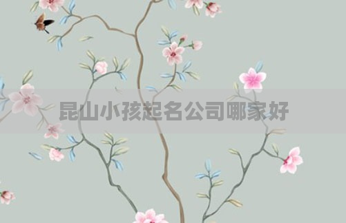 昆山小孩起名公司哪家好
