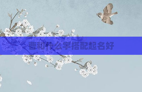 曹和什么字搭配起名好