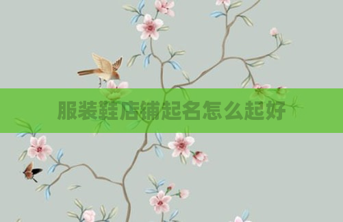 服装鞋店铺起名怎么起好
