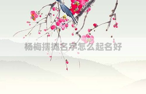 杨梅摆摊名字怎么起名好