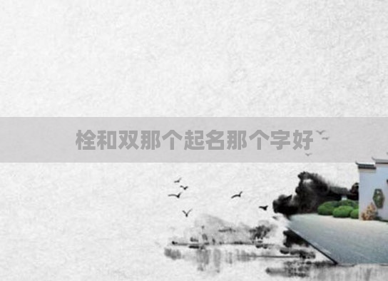 栓和双那个起名那个字好