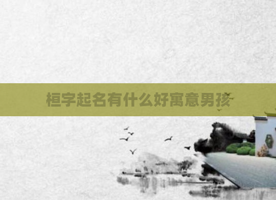 桓字起名有什么好寓意男孩