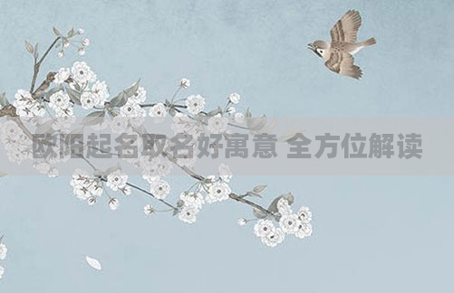 欧阳起名取名好寓意 全方位解读