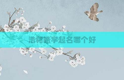 浩和皓字起名哪个好