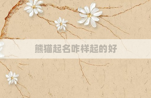 熊猫起名咋样起的好