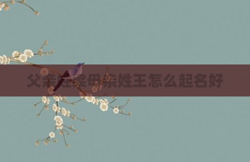 父亲姓梁母亲姓王怎么起名好