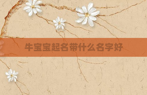 牛宝宝起名带什么名字好