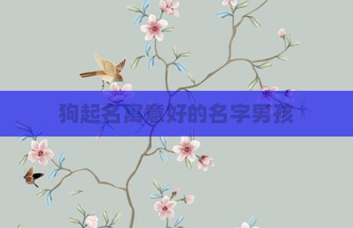 狗起名寓意好的名字男孩