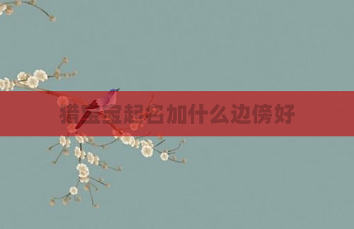 猎宝宝起名加什么边傍好