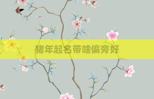 猪年起名带啥偏旁好