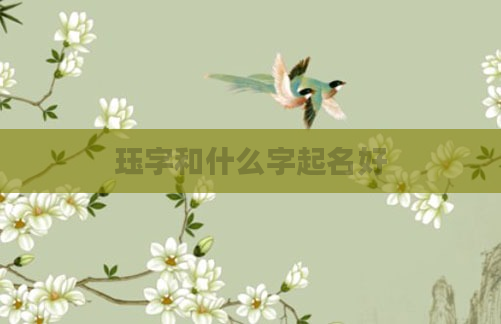 珏字和什么字起名好