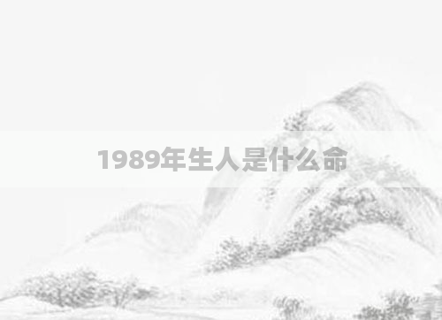 1989年生人是什么命