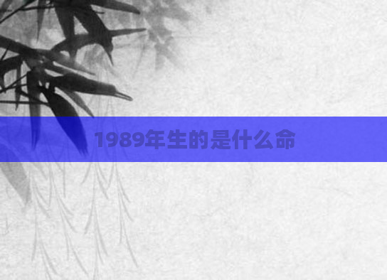 1989年生的是什么命