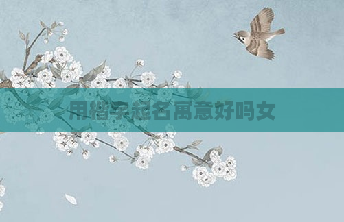 用楷字起名寓意好吗女