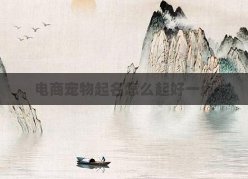电商宠物起名怎么起好一点