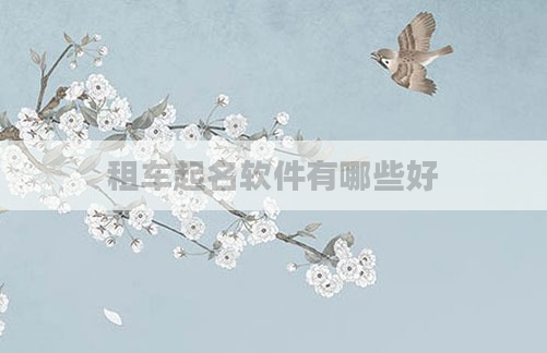 租车起名软件有哪些好
