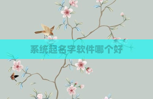 系统起名字软件哪个好