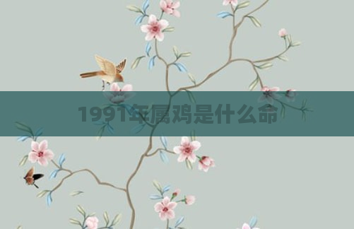 1991年属鸡是什么命