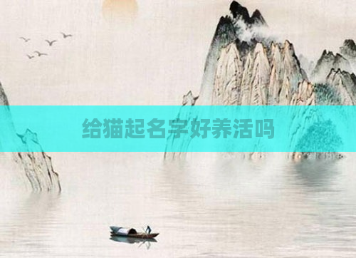 给猫起名字好养活吗
