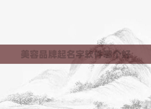 美容品牌起名字软件哪个好