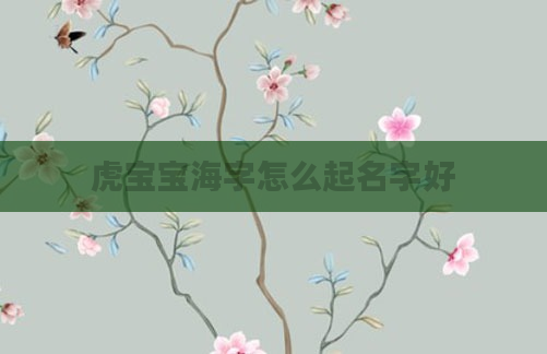 虎宝宝海字怎么起名字好