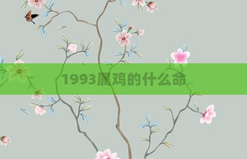 1993属鸡的什么命