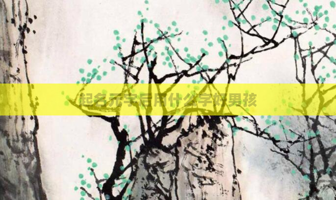 起名元字后用什么字好男孩