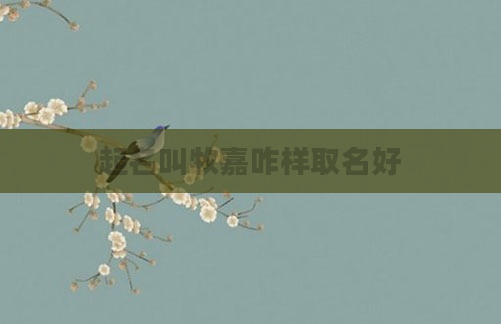 起名叫牧嘉咋样取名好