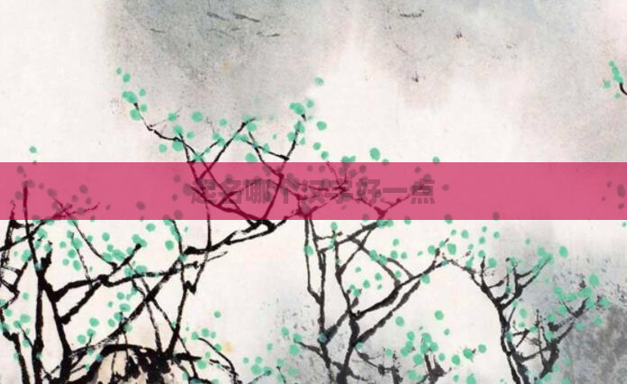 起名哪个汉字好一点