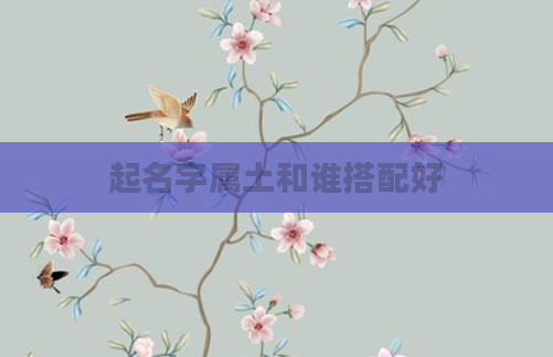 起名字属土和谁搭配好