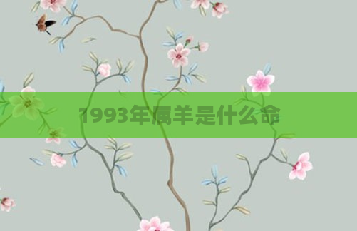 1993年属羊是什么命