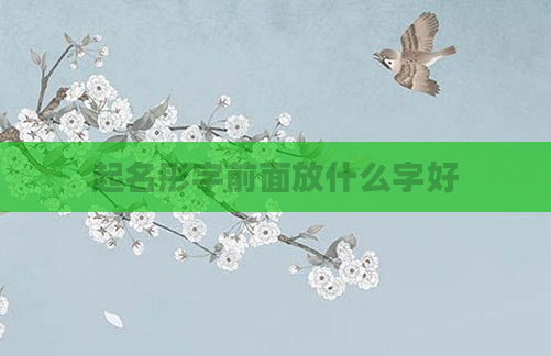 起名彤字前面放什么字好