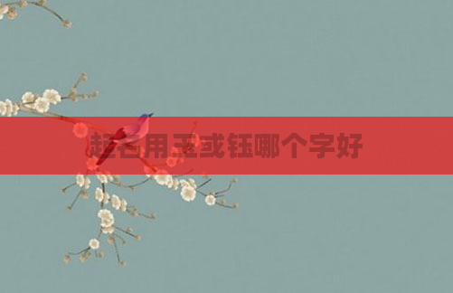 起名用玉或钰哪个字好