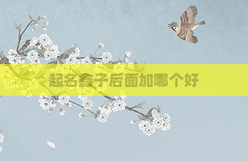 起名鑫子后面加哪个好
