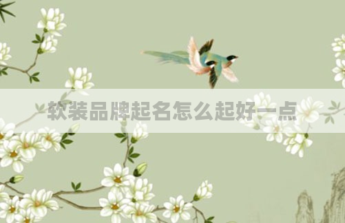 软装品牌起名怎么起好一点
