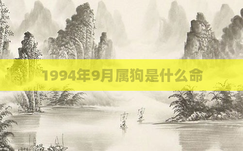1994年9月属狗是什么命