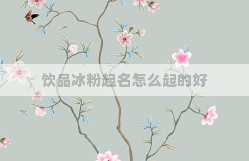 饮品冰粉起名怎么起的好