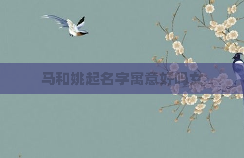 马和姚起名字寓意好吗女